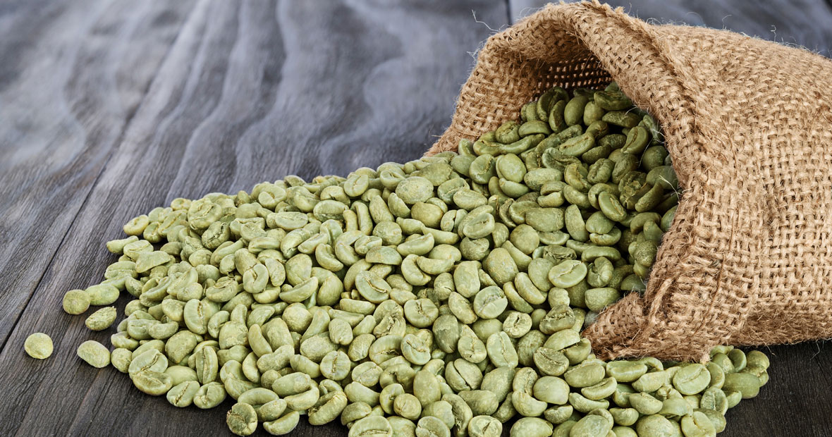 Le café vert non torréfié
